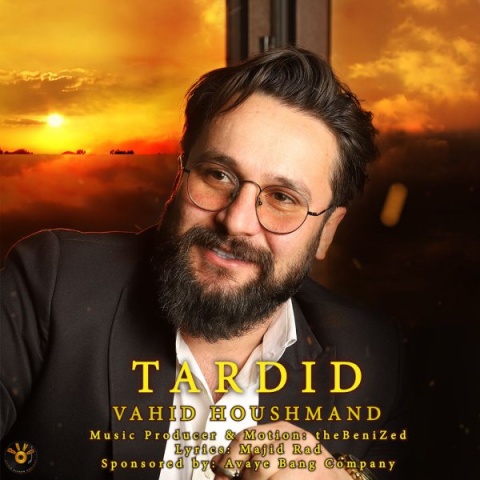 آهنگ وحید هوشمند تردید