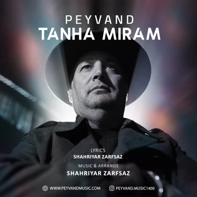 آهنگ پیوند تنها میرم