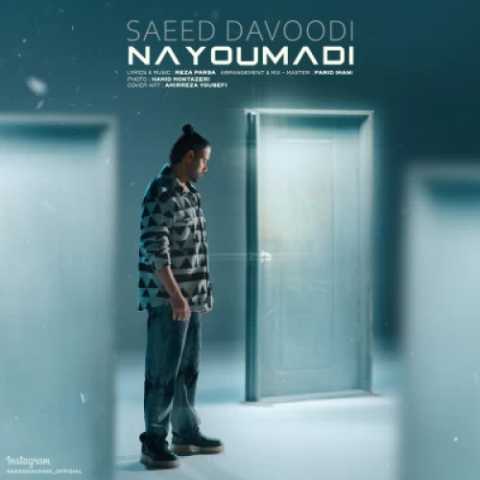 آهنگ سعید داوودی نیومدی