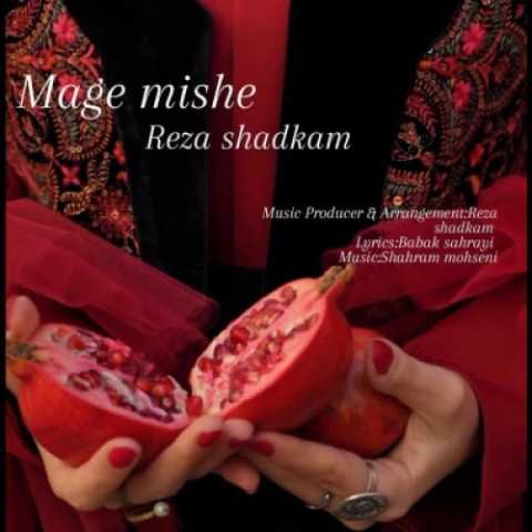 آهنگ رضا شادکام مگه میشه